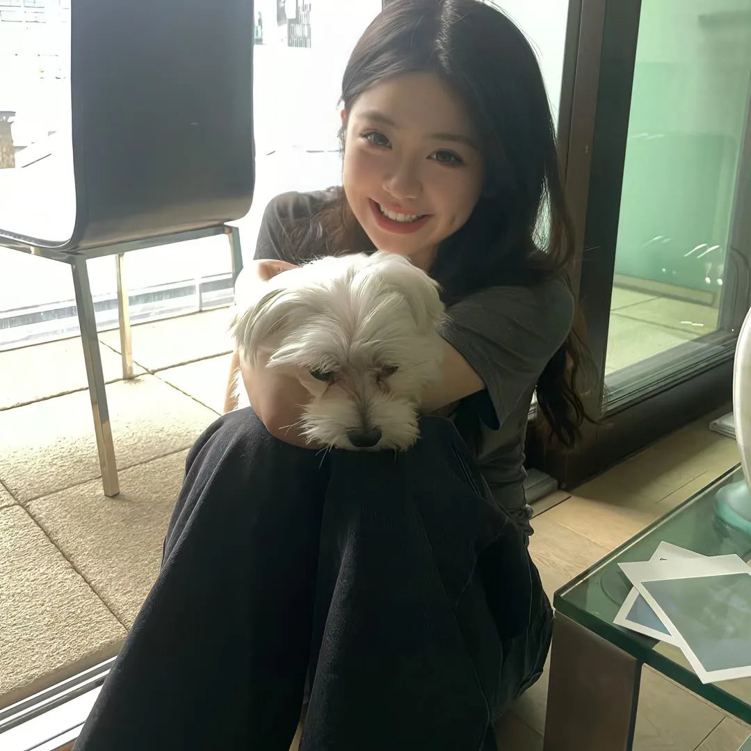 上海堡垒